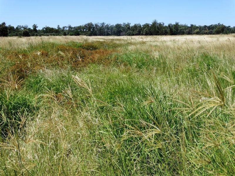 104 B Tennyson Road, Chinchilla QLD 4413