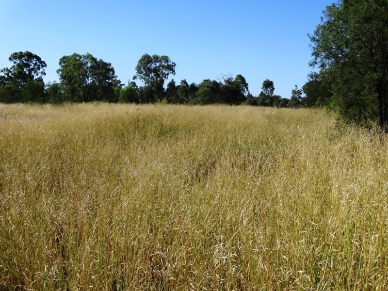 1017 Chinchilla Wondai Road, Chinchilla QLD 4413