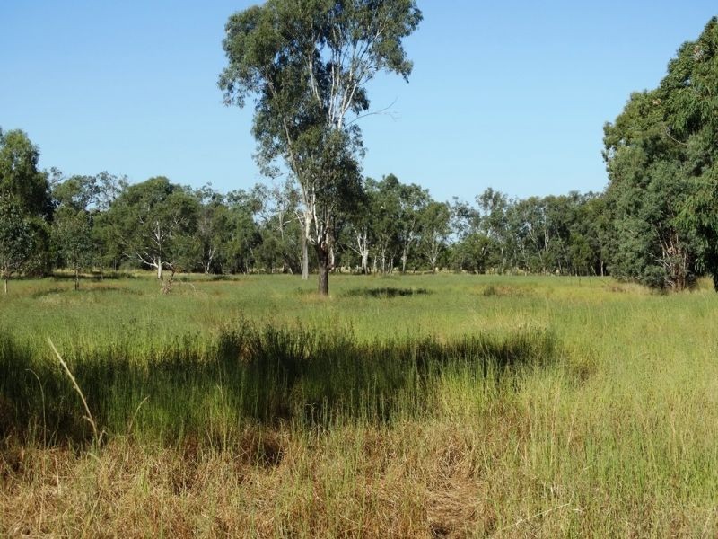 1017 Chinchilla Wondai Road, Chinchilla QLD 4413