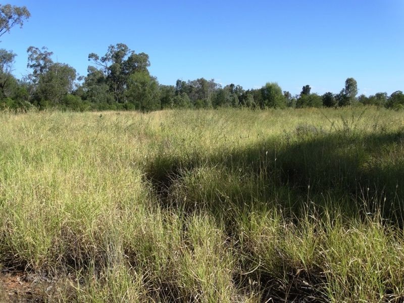 1017 Chinchilla Wondai Road, Chinchilla QLD 4413