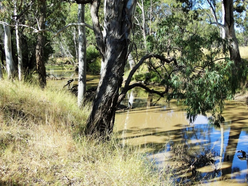 1230 ACRES – Dalwogan Road, Miles QLD 4415