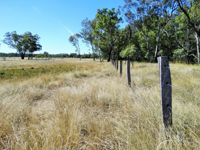 1230 ACRES – Dalwogan Road, Miles QLD 4415