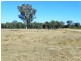 1230 ACRES – Dalwogan Road, Miles QLD 4415