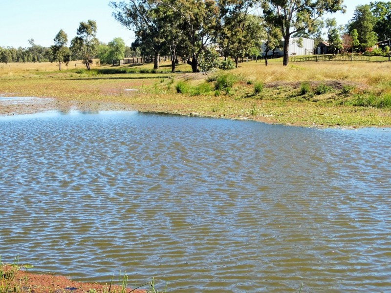 1230 ACRES – Dalwogan Road, Miles QLD 4415