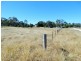 1230 ACRES – Dalwogan Road, Miles QLD 4415