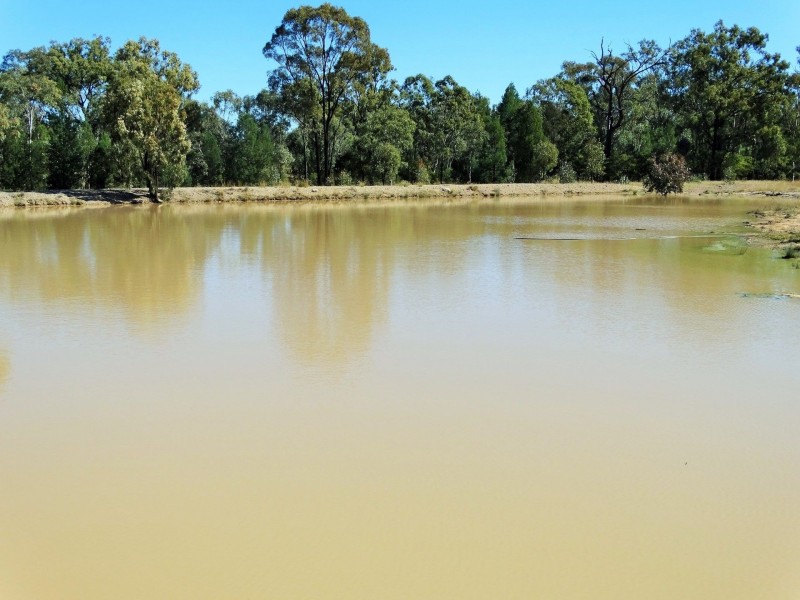 1230 ACRES – Dalwogan Road, Miles QLD 4415