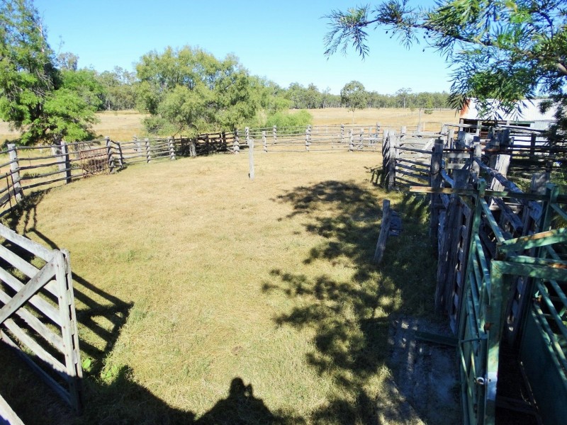 1230 ACRES – Dalwogan Road, Miles QLD 4415