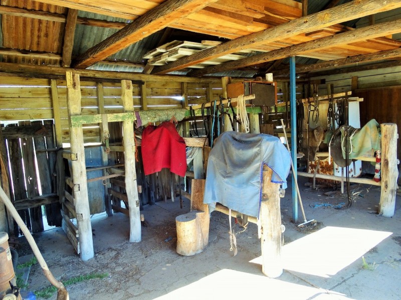 1230 ACRES – Dalwogan Road, Miles QLD 4415