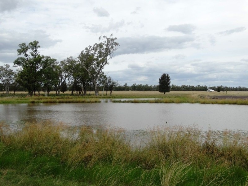 1213 Cameby Road, Chinchilla QLD 4413