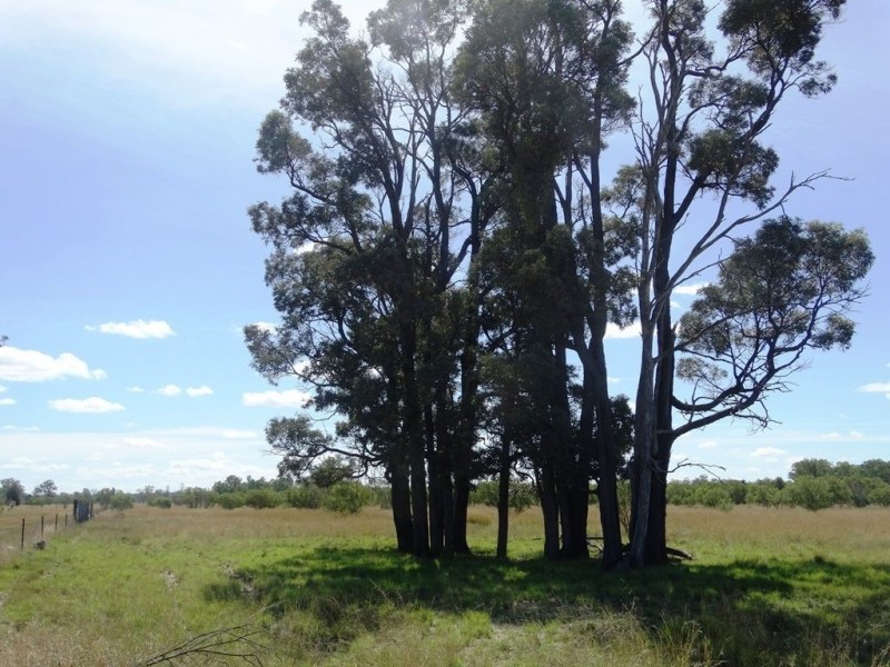 1213 Cameby Road, Chinchilla QLD 4413