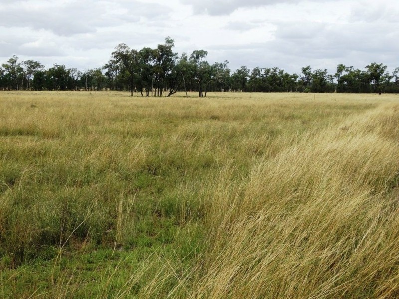 1213 Cameby Road, Chinchilla QLD 4413