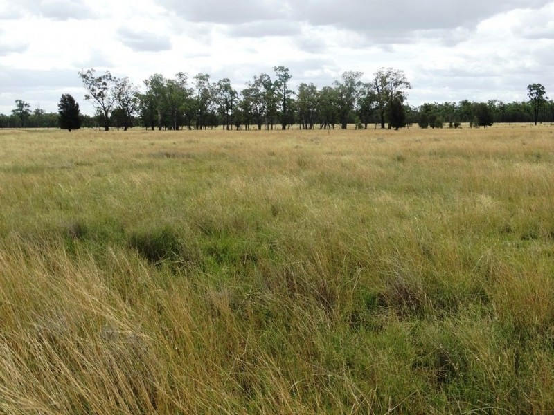 1213 Cameby Road, Chinchilla QLD 4413