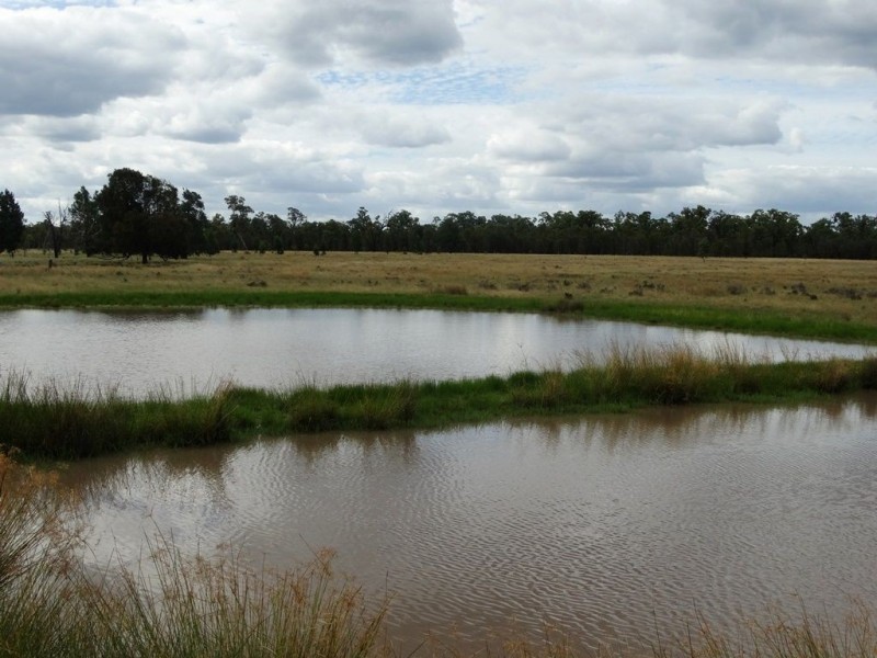 1213 Cameby Road, Chinchilla QLD 4413