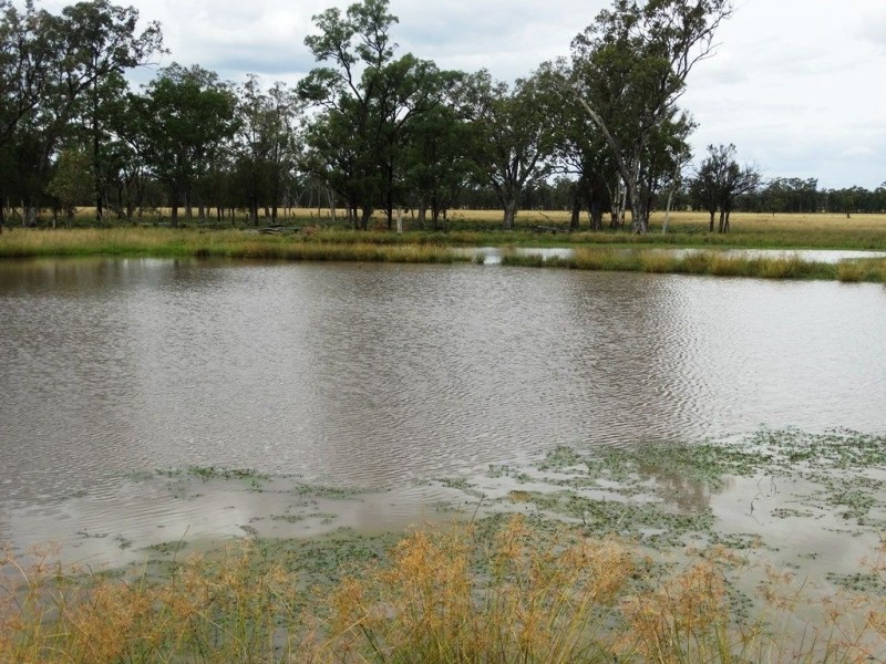 1213 Cameby Road, Chinchilla QLD 4413