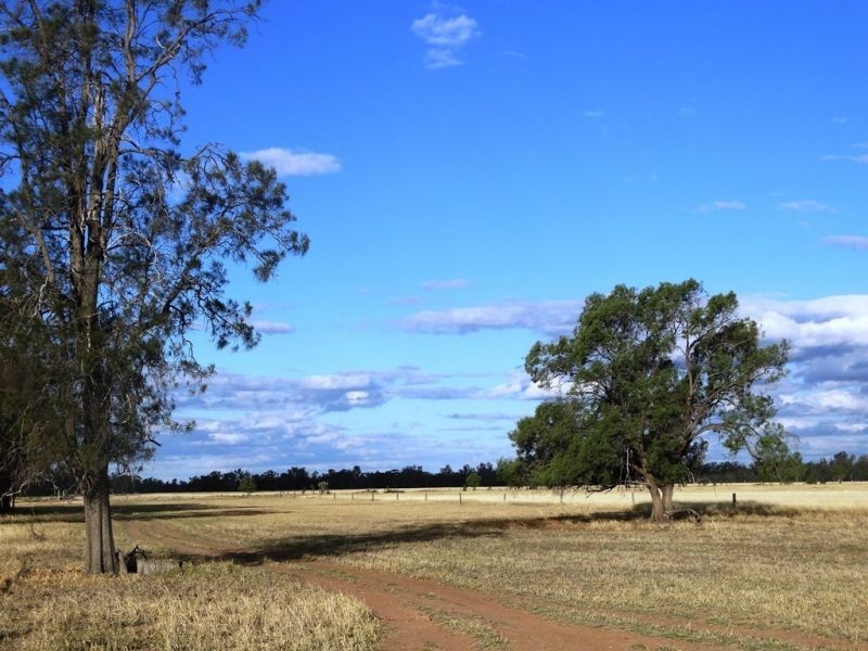 Lot 66 Condamine Highway, Condamine QLD 4416