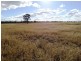 Lot 66 Condamine Highway, Condamine QLD 4416