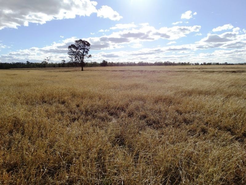 Lot 66 Condamine Highway, Condamine QLD 4416