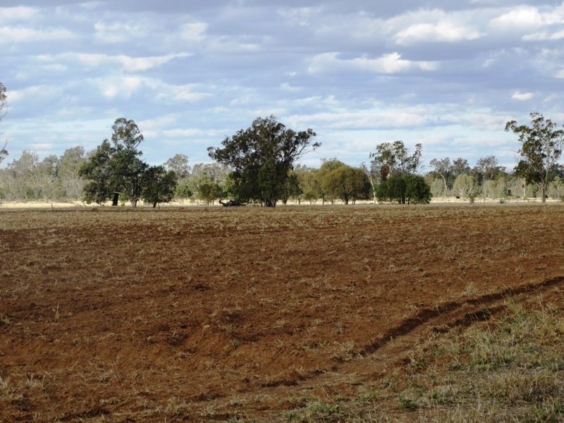 Lot 66 Condamine Highway, Condamine QLD 4416