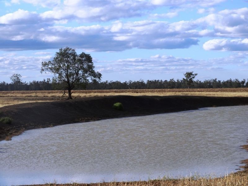 Lot 66 Condamine Highway, Condamine QLD 4416