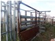 Lot 66 Condamine Highway, Condamine QLD 4416