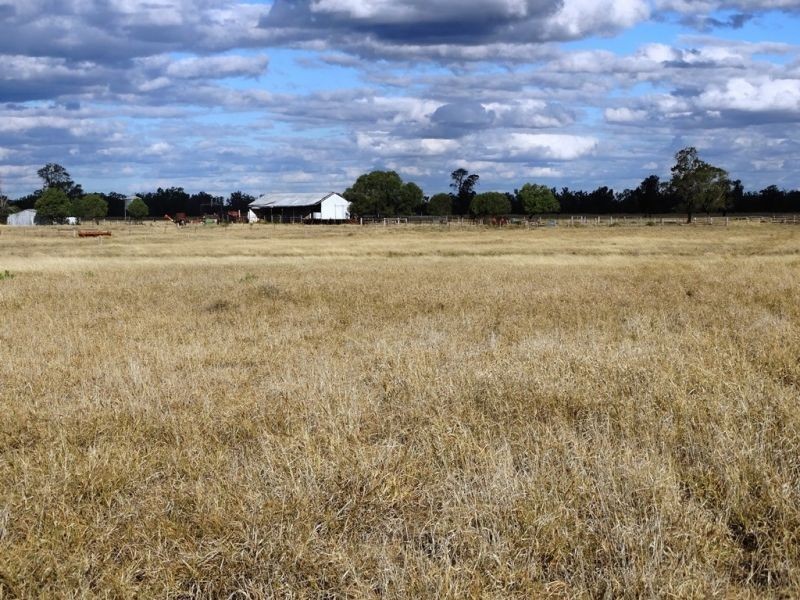 Lot 66 Condamine Highway, Condamine QLD 4416