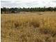 Lot 66 Condamine Highway, Condamine QLD 4416