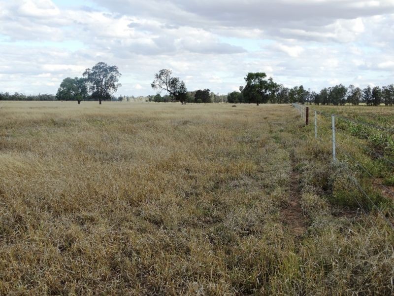 Lot 66 Condamine Highway, Condamine QLD 4416