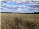Lot 66 Condamine Highway, Condamine QLD 4416
