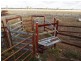 Lot 66 Condamine Highway, Condamine QLD 4416