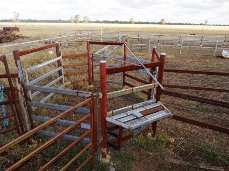 Lot 66 Condamine Highway, Condamine QLD 4416