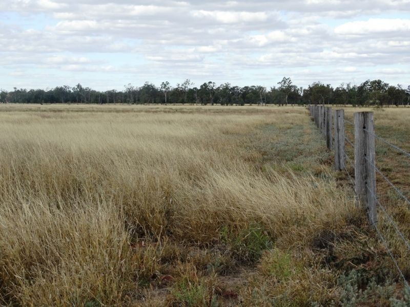 Lot 66 Condamine Highway, Condamine QLD 4416