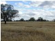 Lot 66 Condamine Highway, Condamine QLD 4416