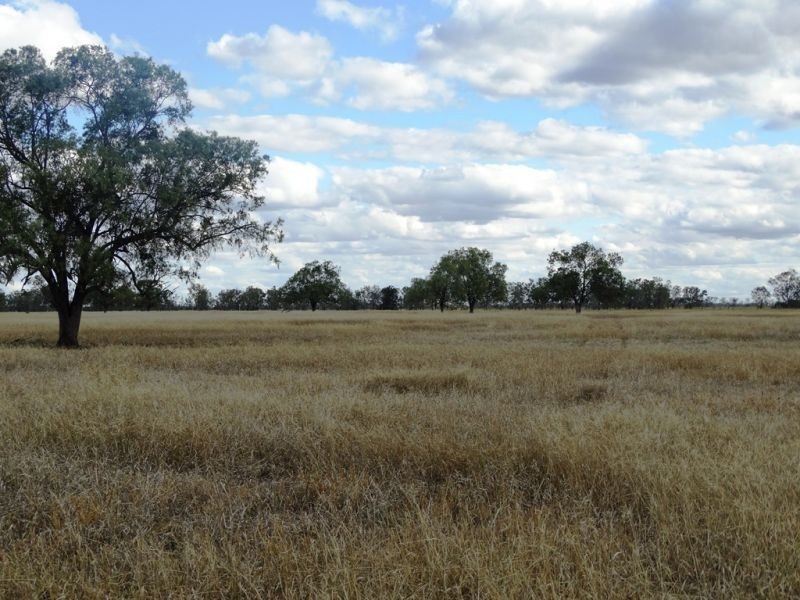 Lot 66 Condamine Highway, Condamine QLD 4416