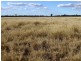 Lot 66 Condamine Highway, Condamine QLD 4416