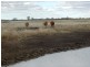Lot 66 Condamine Highway, Condamine QLD 4416