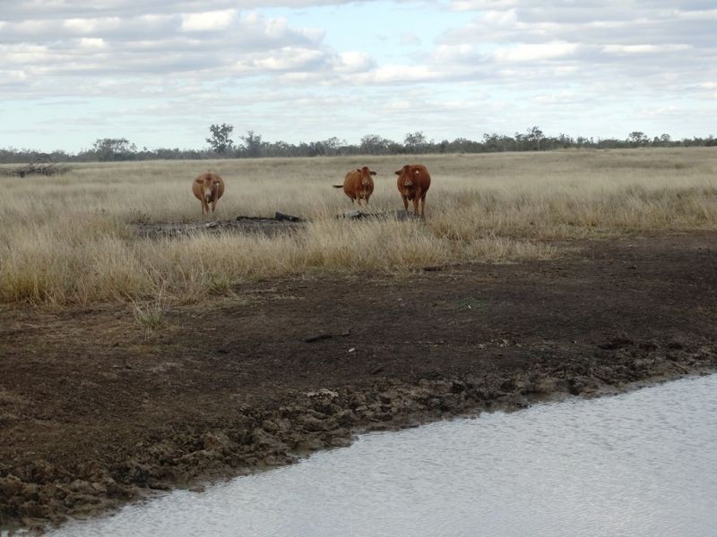 Lot 66 Condamine Highway, Condamine QLD 4416