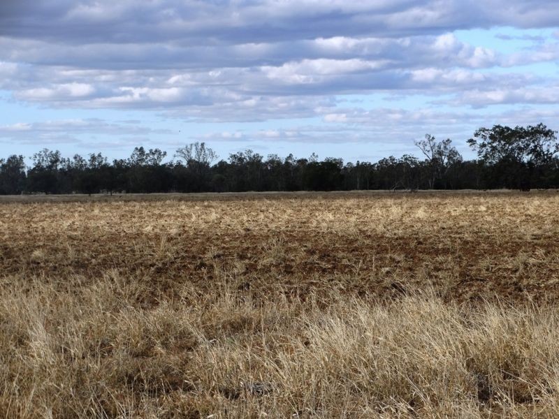 Lot 66 Condamine Highway, Condamine QLD 4416