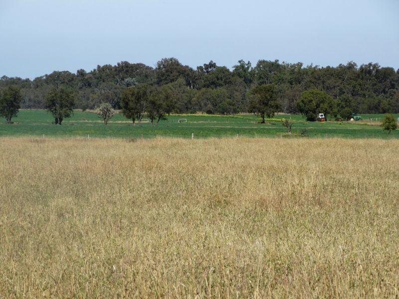 118 Barkers Road, Chinchilla QLD 4413