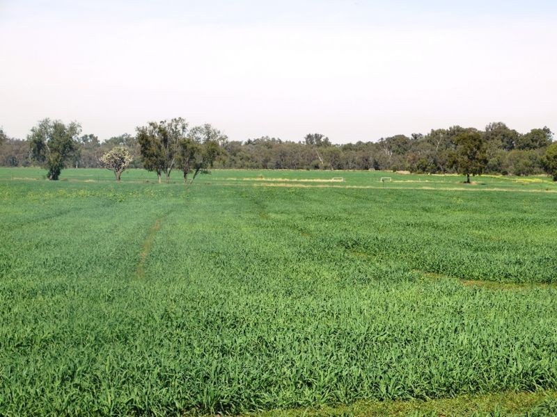 118 Barkers Road, Chinchilla QLD 4413