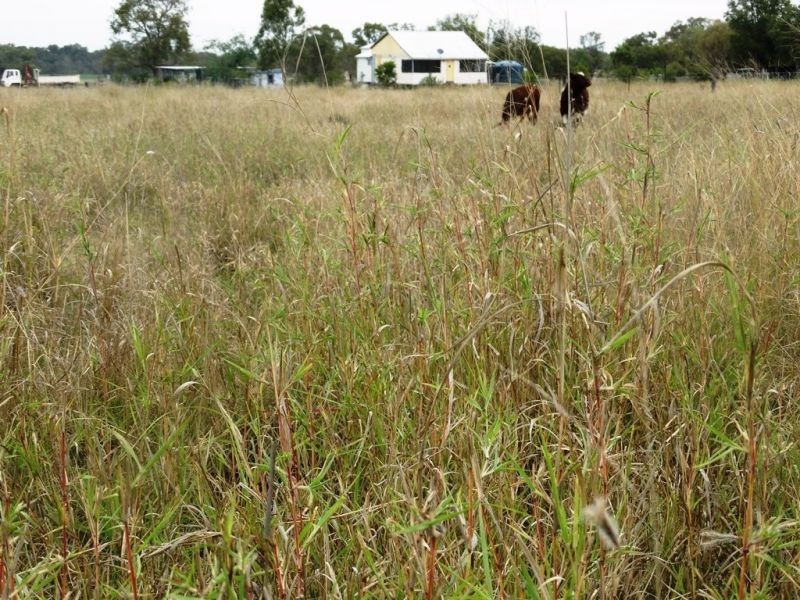 118 Barkers Road, Chinchilla QLD 4413