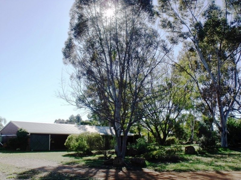 151 Cemetery Road, Chinchilla QLD 4413