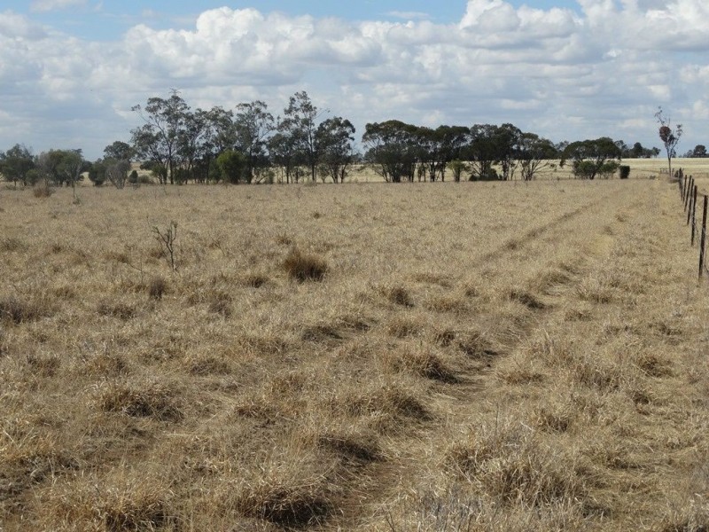 248. Dawson Gates Road, Chinchilla QLD 4413