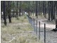 Lot 2 Dalby Kogan Road, Kogan QLD 4406