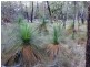 Lot 2 Dalby Kogan Road, Kogan QLD 4406