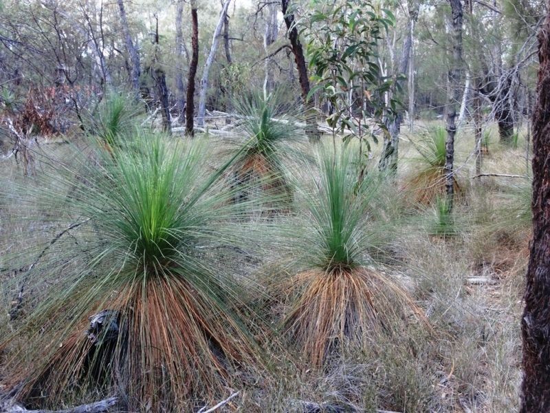 Lot 2 Dalby Kogan Road, Kogan QLD 4406