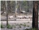 Lot 2 Dalby Kogan Road, Kogan QLD 4406