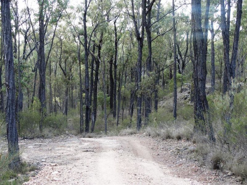 Lot 2 Dalby Kogan Road, Kogan QLD 4406