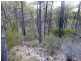 Lot 2 Dalby Kogan Road, Kogan QLD 4406