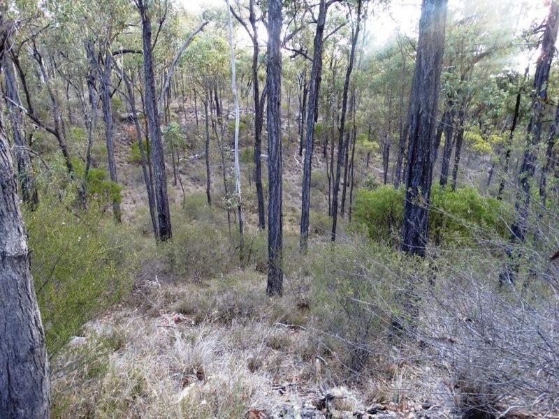 Lot 2 Dalby Kogan Road, Kogan QLD 4406