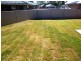 70 Sommerfeld Crescent, Chinchilla QLD 4413